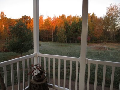 frosty r.JPG