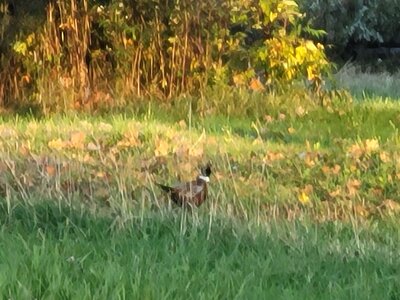 20221010_175026.jpg