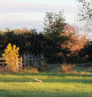 20221010_180126.jpg