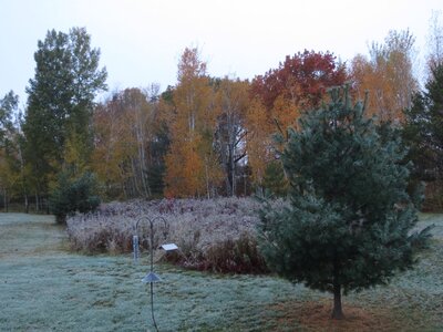 IMG_2750r.JPG