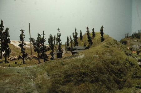 rsz_dsc_3190.jpg