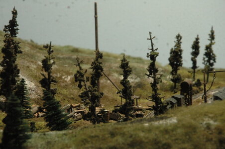 rsz_dsc_3254.jpg