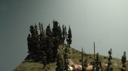 rsz_dsc_3259.jpg