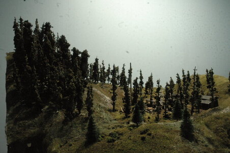rsz_dsc_3267.jpg