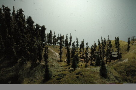 rsz_dsc_3268.jpg