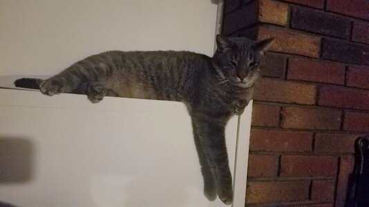 20201115_164626.jpg