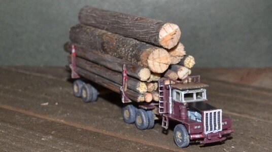 logging 3.jpg