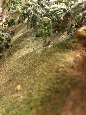 B75D132E-57CB-46DB-BB6B-B1C72CE7366F.jpeg