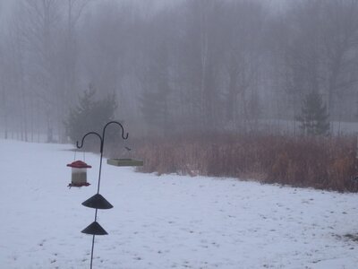 IMG_2882 r.JPG
