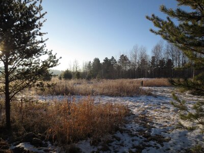 IMG_2894r.JPG