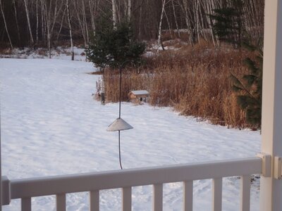 IMG_2911r.JPG