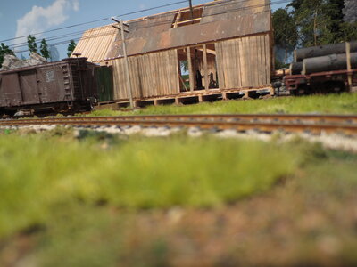 a final view 015.JPG