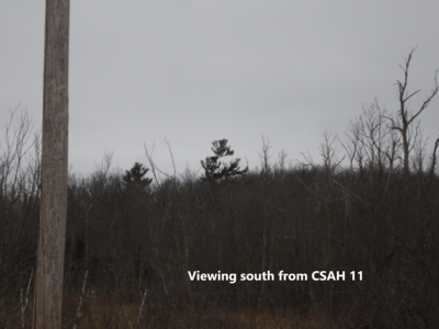 Pic of eagle nest.png