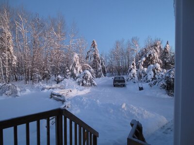 IMG_2982r.JPG