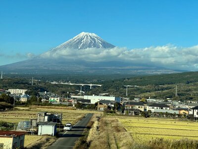 IMG_0202.jpg