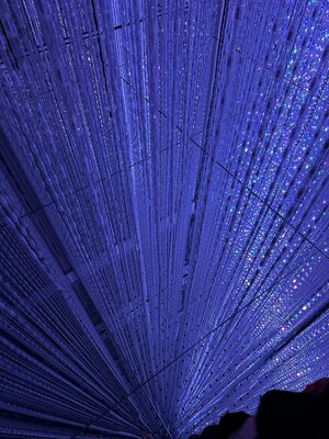 4CC3F436-E5FC-4EE1-88D5-B47A4CA58FD6.jpeg