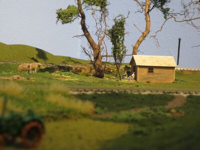 homestead.JPG