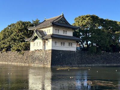 6575DE6E-19A0-4776-B15D-8E83A042D5A2.jpeg