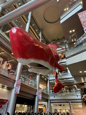 IMG_2072.jpg
