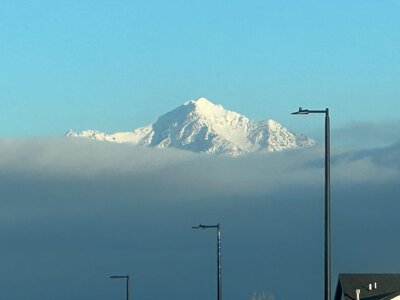 IMG_2333.jpeg