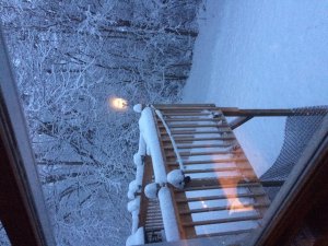 IMG_5602.jpg