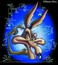 imageswiley coyote.jpg
