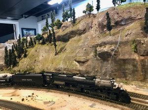 IMG_2534.jpg