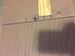 IMG_0983.jpg