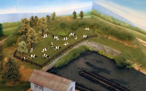 cows.jpg