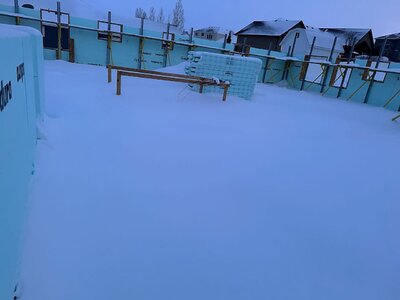 IMG_2437.jpeg