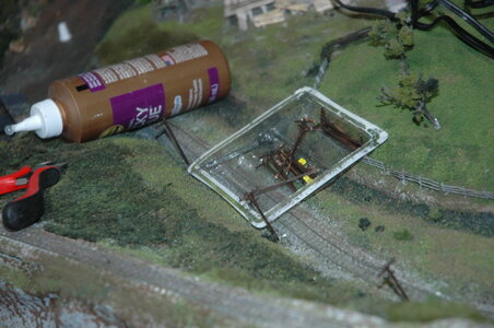 DSC_3310.JPG