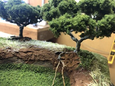 B040943D-1813-4C98-A856-CCCD6B6D4DF3.jpeg