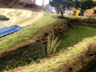 22506DE9-C030-4E09-B804-D30DFDF488B3.jpeg