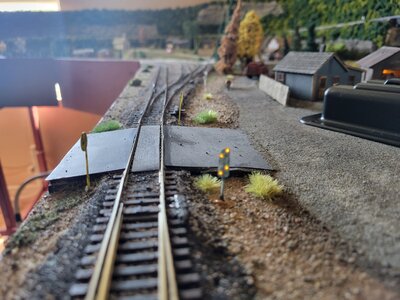 20230321_115849 (1).jpg