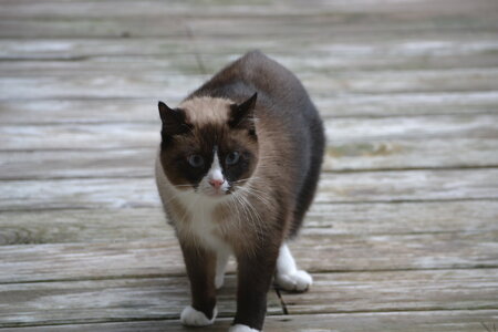 DSC_0028.JPG