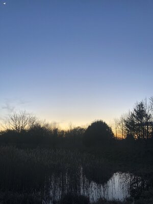 61587D02-4384-4DD8-9963-DE32E317A919.jpeg