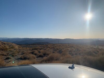 IMG_4433.jpeg IMG_4433.jpeg