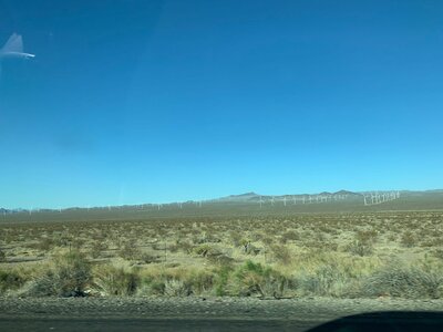 IMG_4415.jpeg IMG_4415.jpeg