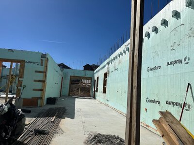IMG_2600.jpeg