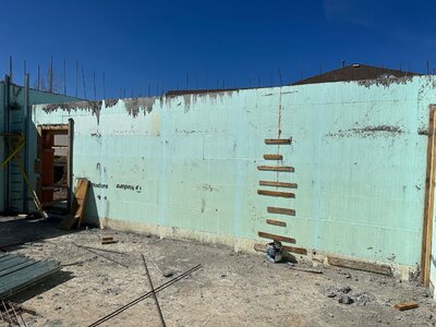 IMG_2601.jpeg