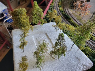 20230423_131243.jpg