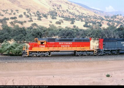 SP7342row-1.jpg