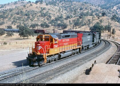 SP7342wal-1.jpg