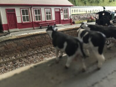 IMG_6287.jpeg