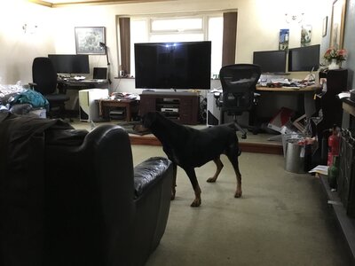 IMG_0811.jpeg