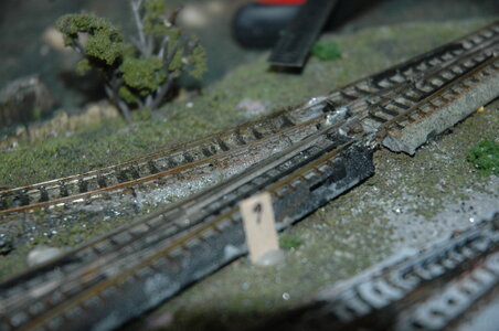 DSC_3337.JPG