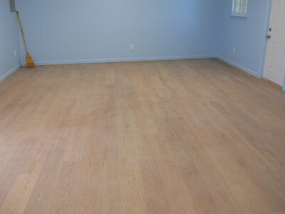flooring 2- 5-4-23.JPG