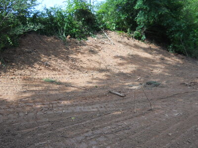 DSCN3537.JPG