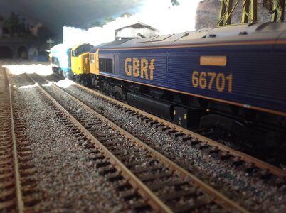 IMG_9455.jpeg
