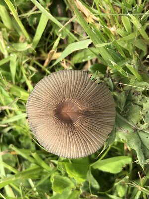 IMG_0978.jpeg